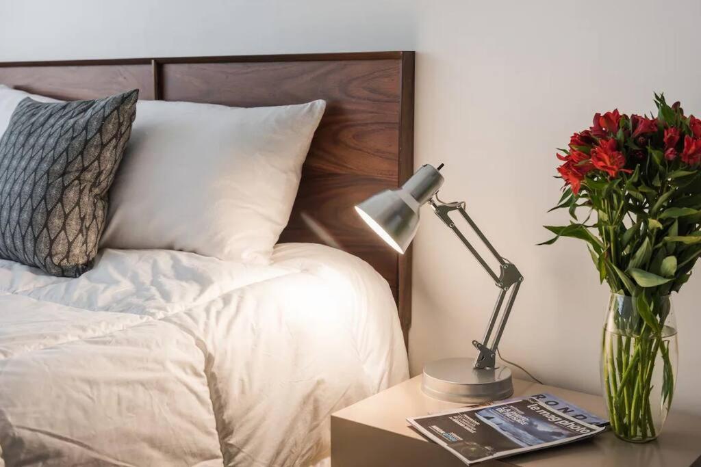 Apartment Condesa Amsterdam E Cozy Living Space In The Heart Of The On Amsterdam Avenue Mexico City