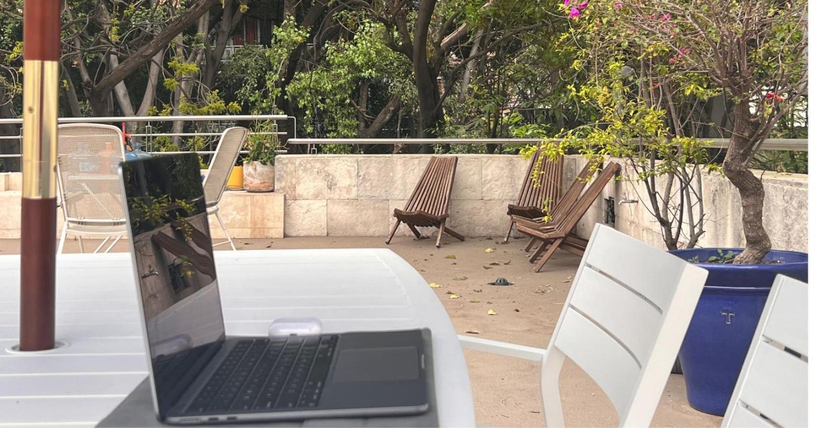 Condesa Amsterdam E Cozy Living Space In The Heart Of The On Amsterdam Avenue Mexico City